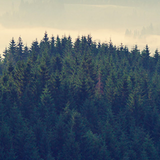 短信连环呼叫软件